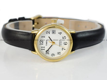 Timex Easy Reader T2H341 Zegarek Damski