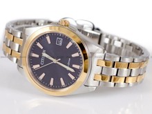 Zegarek Citizen Eco-Drive EO1213-85E